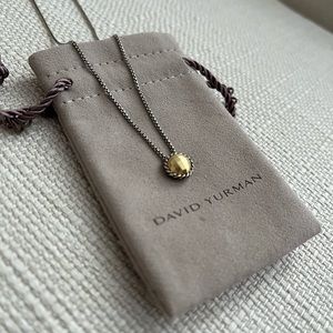 David Yurman Petite Chatelaine® Necklace with 18K Yellow Gold Dome